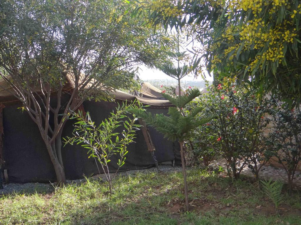 Douar Noujoum Bed & Breakfast Essaouira Exterior photo
